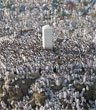Arafat